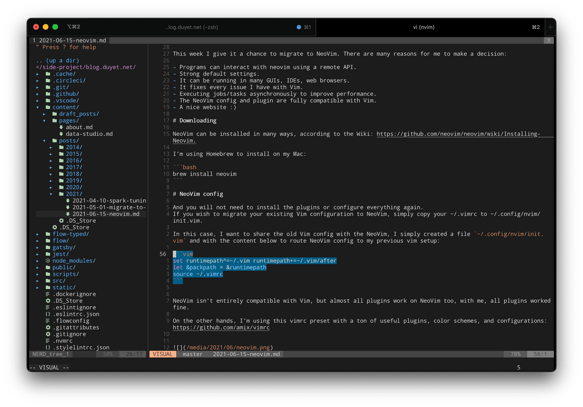 neovim 2